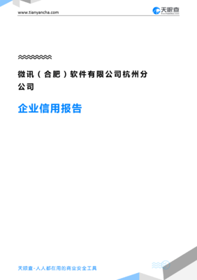 微讯(合肥)软件杭州分公司企业信用报告解析 从恒洲微讯到天眼查的多维透视