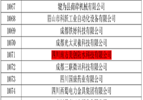 我们的2020，我们的孵化园 恒洲微讯信息的不凡征程